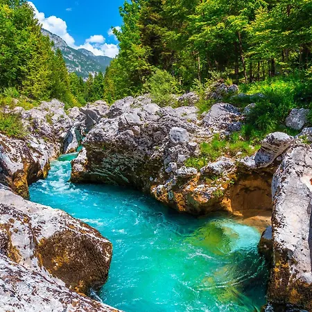 Cozy - Happy Casa vacanze Bovec