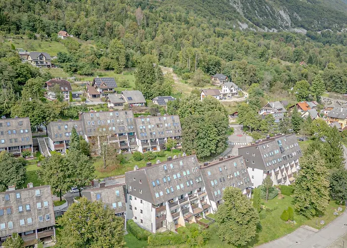 Cozy - Happy בובק